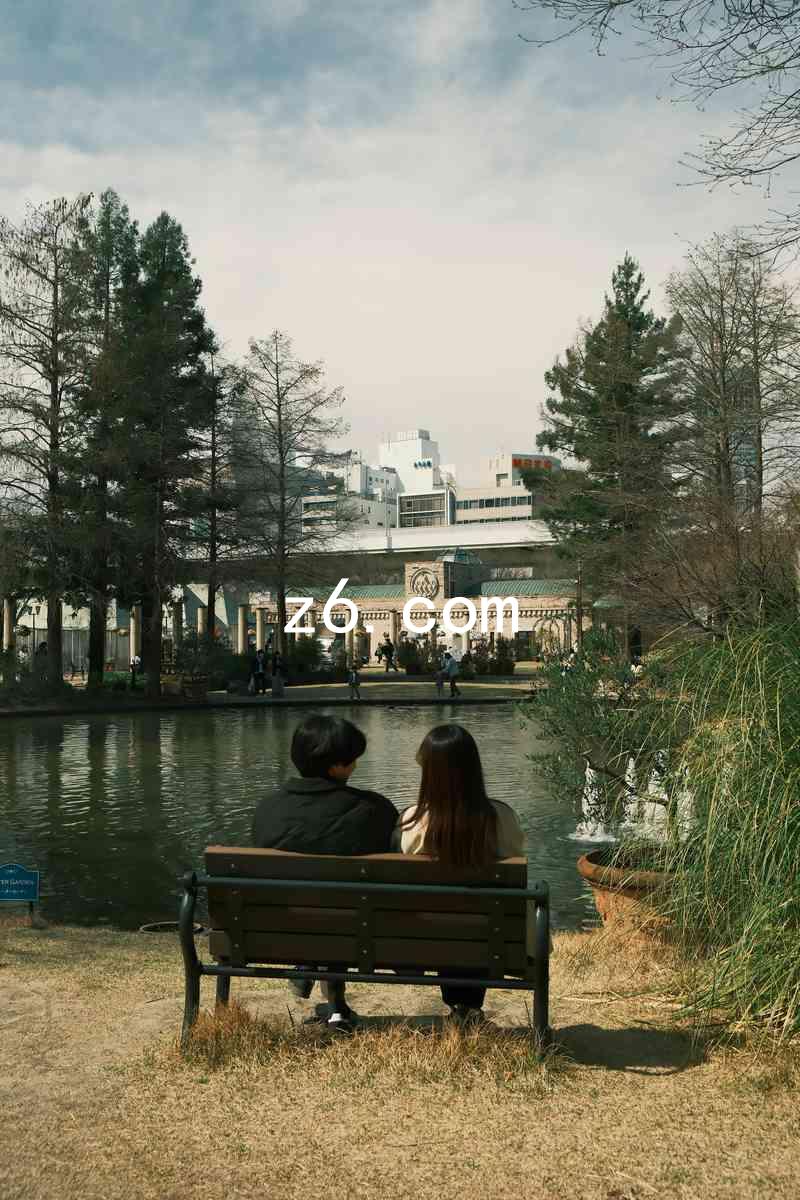 z6.com